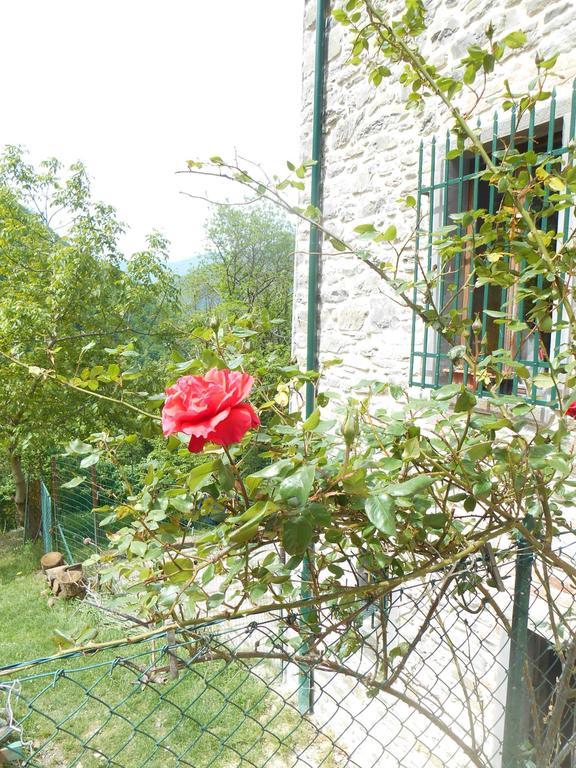 La Casa Nel Bosco-Senza Auto Guest House Ponte della Venturina Room photo
